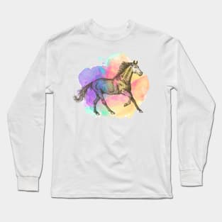 Colorful Horse Gift Horse Lovers Racing Riding Long Sleeve T-Shirt